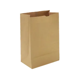 Пакет бумажный (крафт "С", без ручки, без печати, 220*120*290, 50 шт/упак, 20 уп/кор)