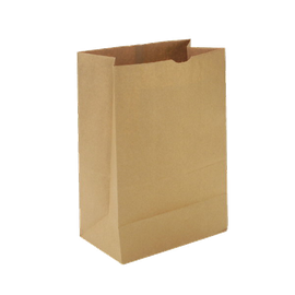 Пакет бумажный (крафт "С", без ручки, без печати, 220*120*290, 50 шт/упак, 20 уп/кор)